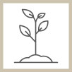 Grow Icon